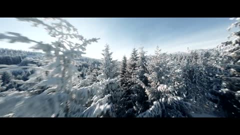 Winter wonderlands - FPV