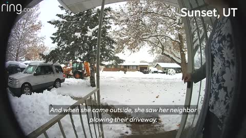 Dramatic bobcat, walks with girl. Terrifying everyone