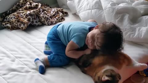 Baby's new best friend is a cat!