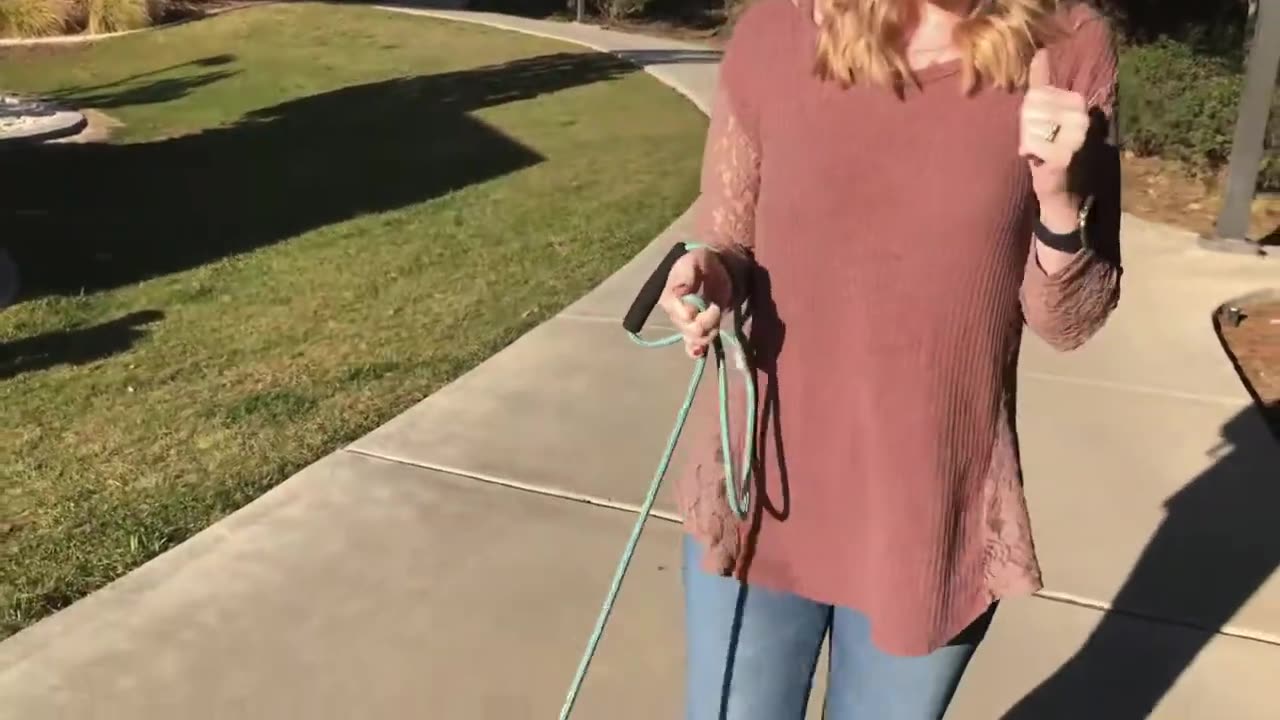 How To Get My Dog To Stop Tearing Up My House