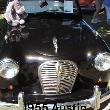 1955 Austin Convertible