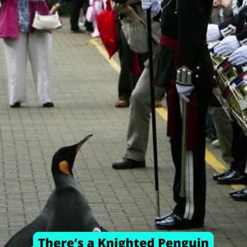 Top 10 Obscure Facts About Europe Everyone Should Know Part 1