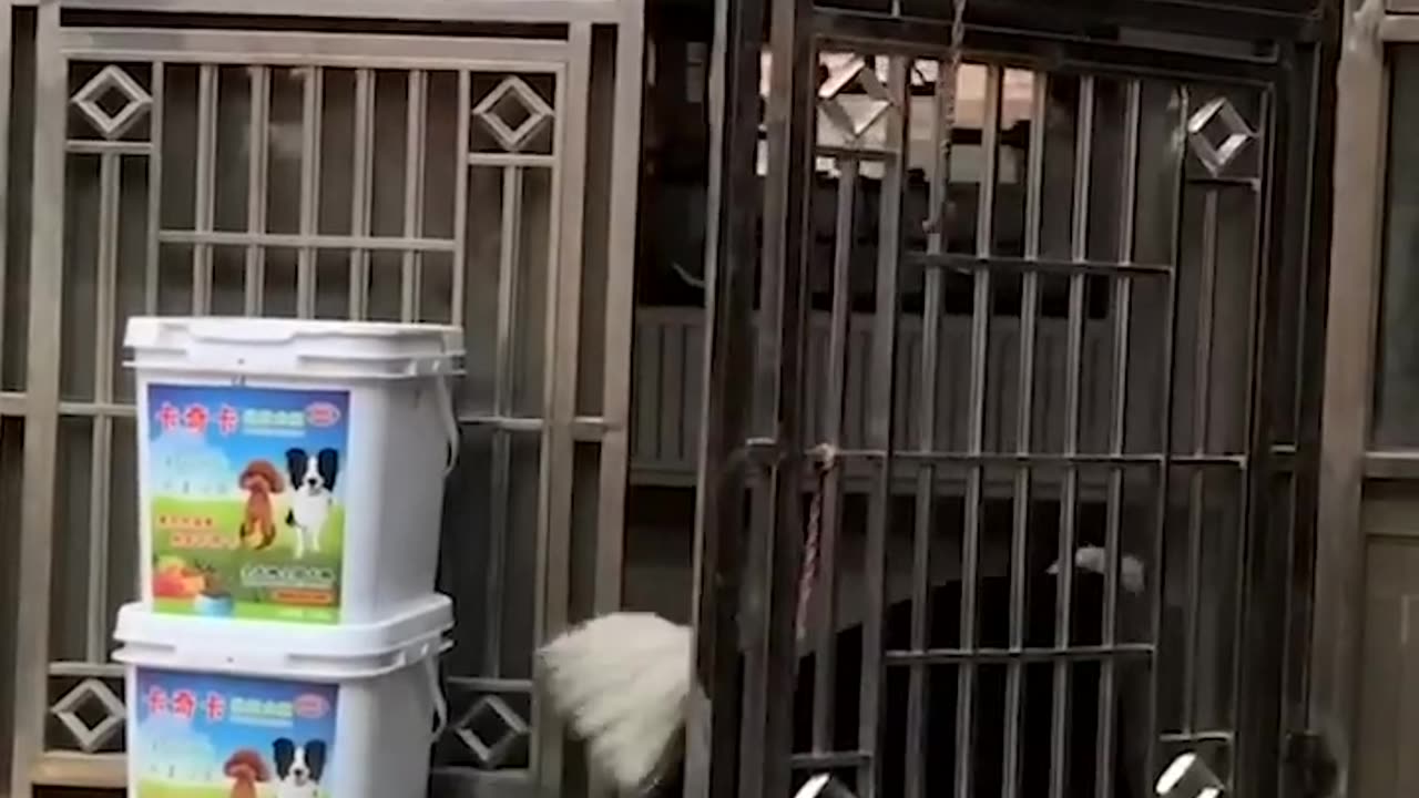 #lot of#fun 2023😁😁😁