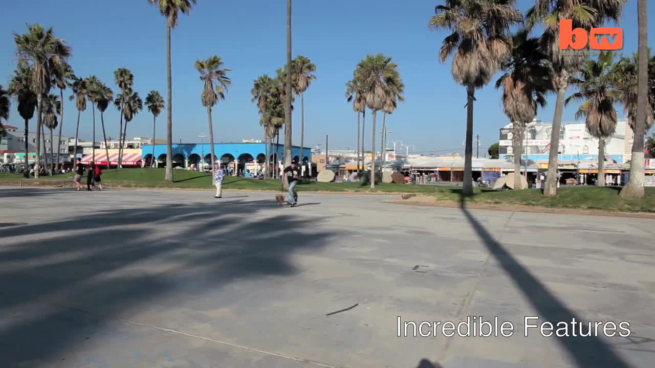 A Man, A Skateboard And A Flying Dog