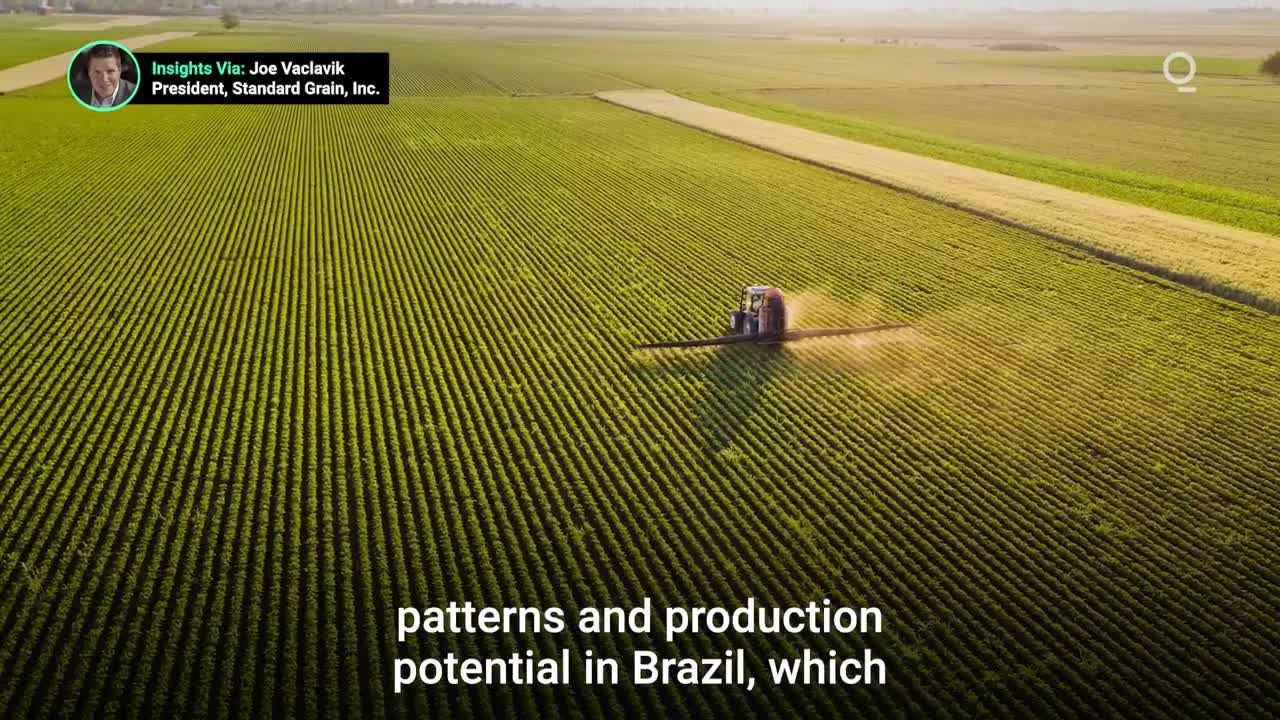 Brazil’s Farmers Set for Corn and Soybean Crop Records