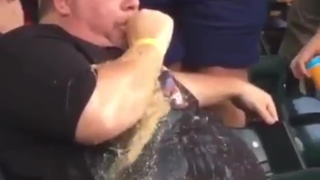 Barfing at the baseball game
