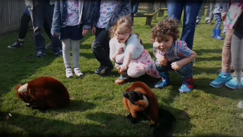 April 2016 Gabrielle's birthday, Woodside Wildlife park part 1