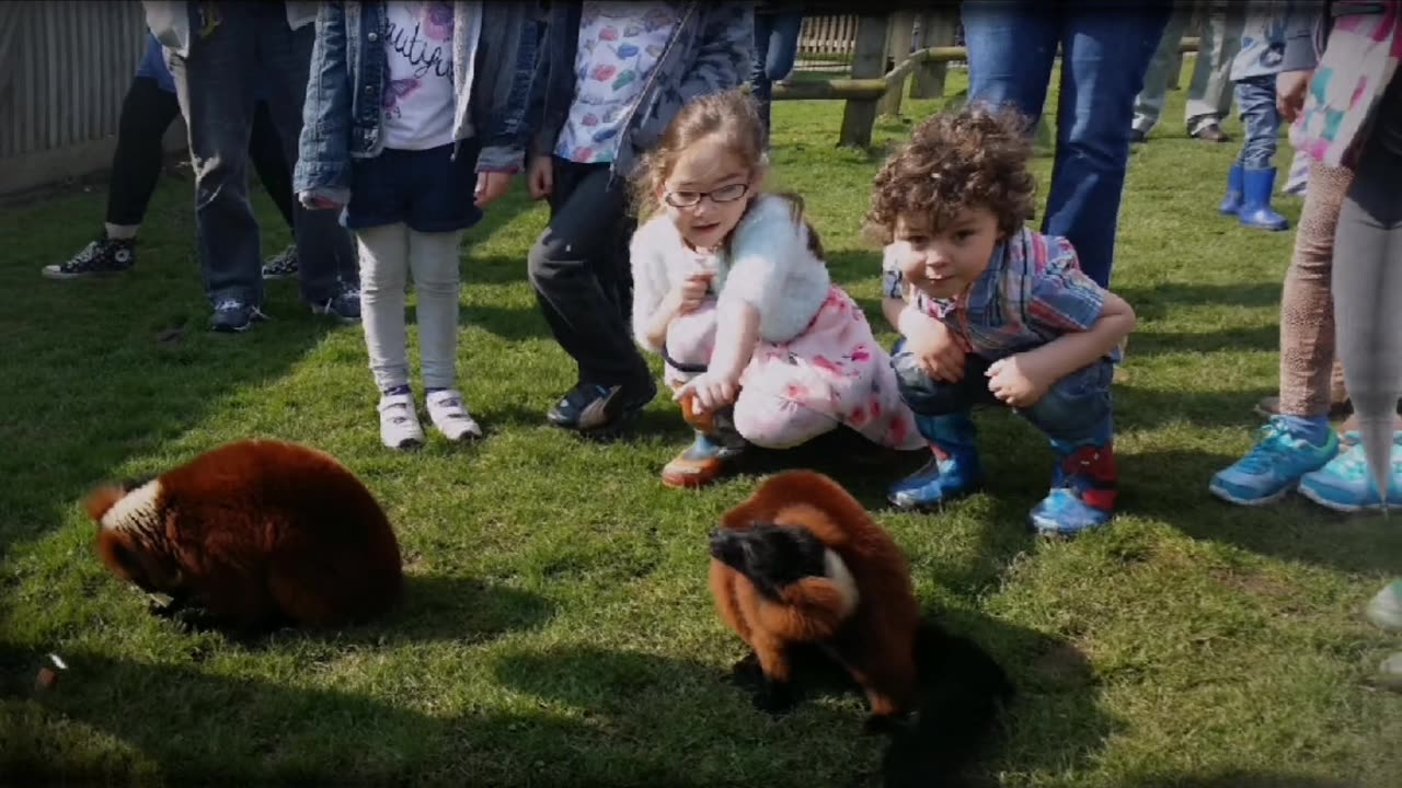 April 2016 Gabrielle's birthday, Woodside Wildlife park part 1