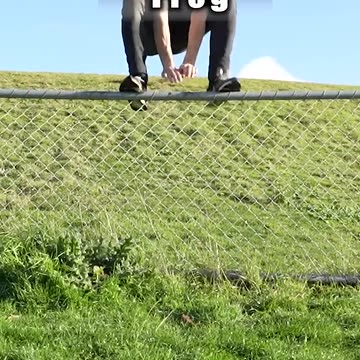 Act as Animals to Get Over a Fence?