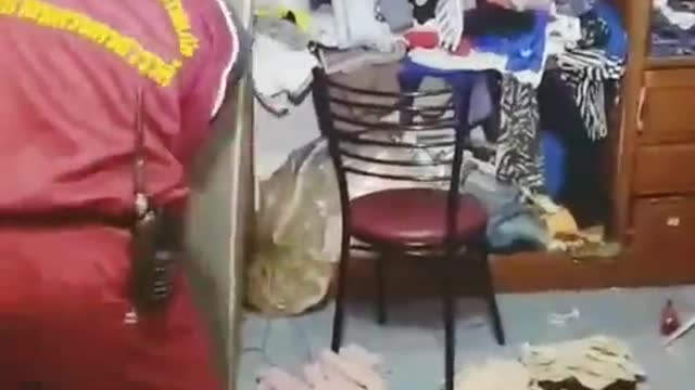 Enormous Snake Carefully Extracted from Ceiling