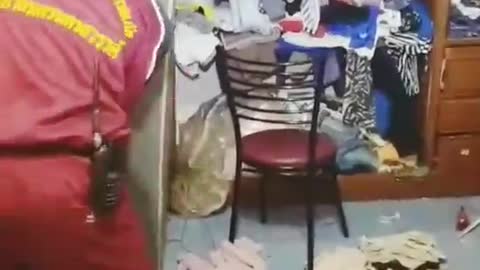 Enormous Snake Carefully Extracted from Ceiling