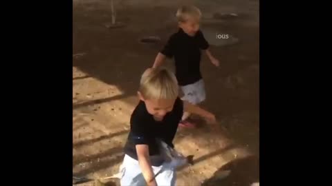 Hilarious kids reactions