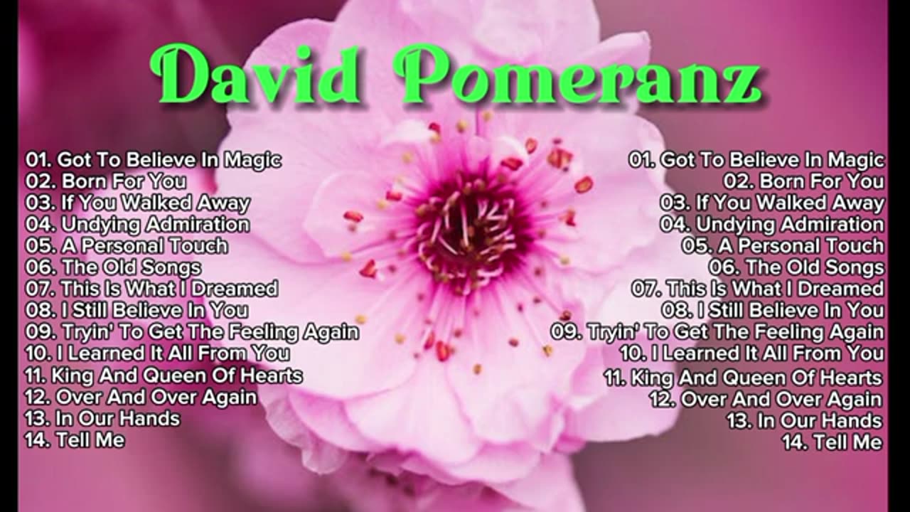 David Pomeranz Greatest Hits | The Best of David Pomeranz Nonstop Playlist