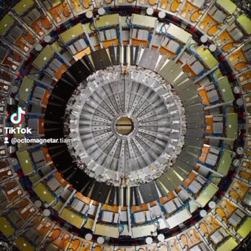 I AM THE HADRON CELL