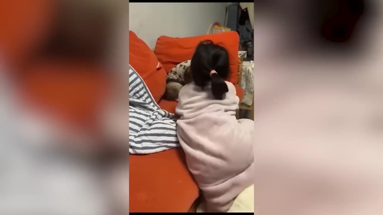 Funny animal video... Try not to Laugh..