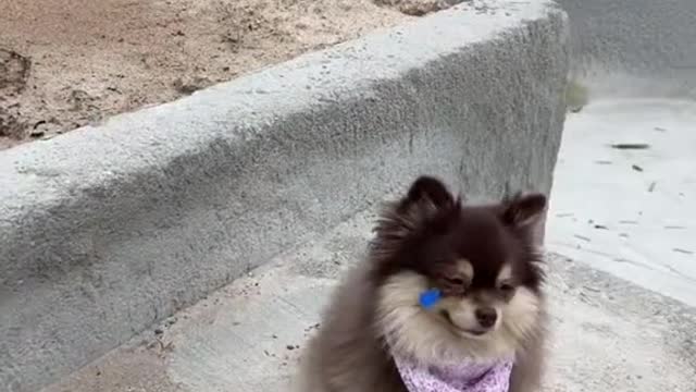 do you cheer Suzuki up❤️🥺🥺🥺