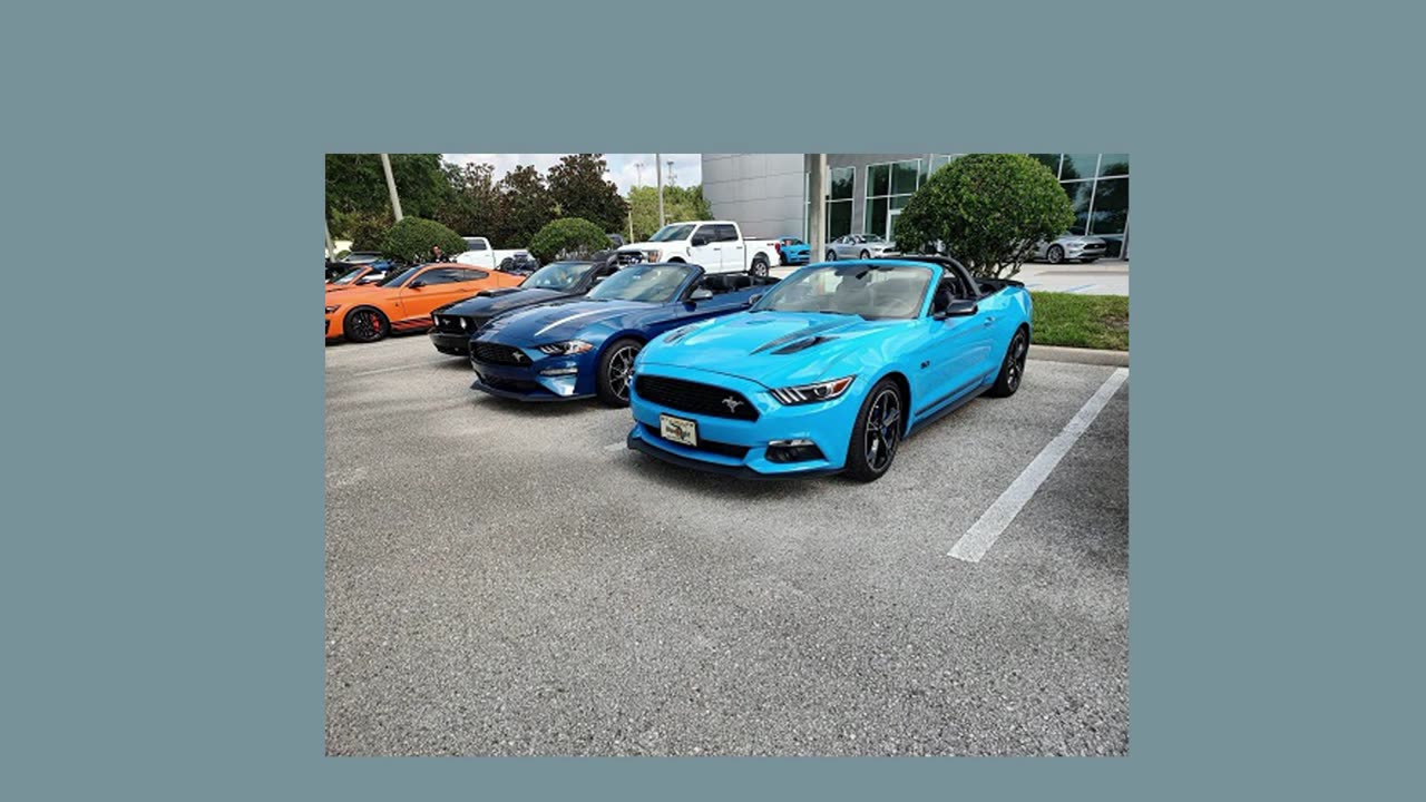 Ford Dealership Wesley Chapel