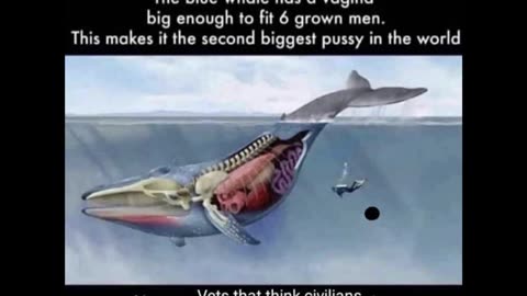 Random Memes 273