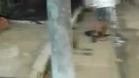 procedimiento policial