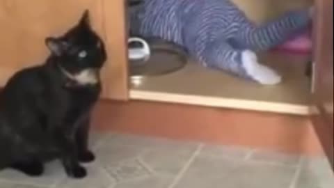How cute cat is taking care of little baby.