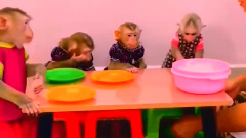 Super Lovely ❤️!, Good Discipline Monkeys
