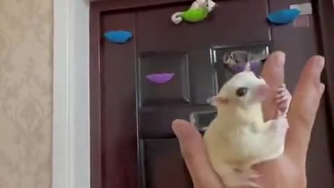The landing..