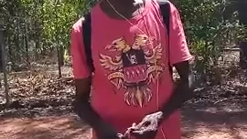 Australia indigenous people offered 500 for vaccination ... per dose - 9-28-21