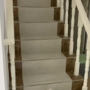 Where do they get such toys?!?