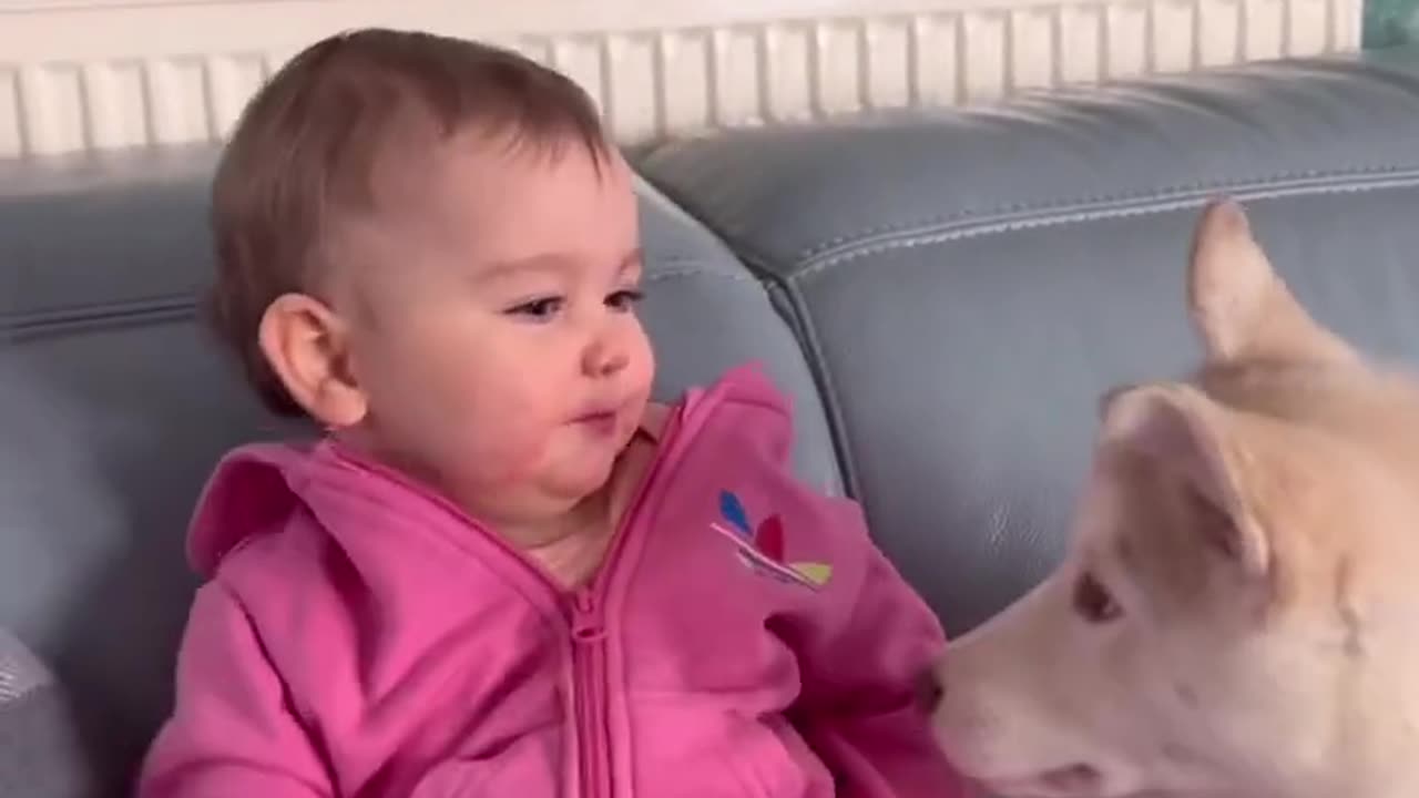 My Baby & Husky Puppy Becoming Best Friends!ðŸ˜ðŸ’–