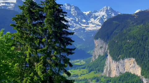 Paradise Valley ✨ Jungfrau Region