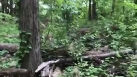 News Break: Full Contact Disk Golf.