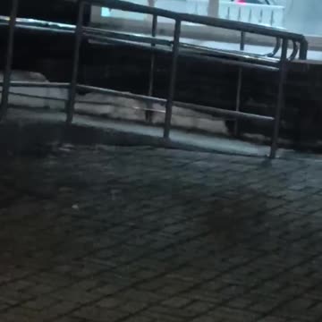 🤡 Everything you need to know about "Putin elections" in Russia...