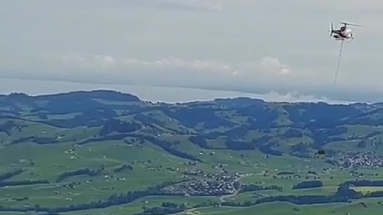 A cow flying to the vet in Switzerland