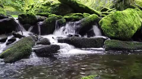 Relaxing River Sounds
