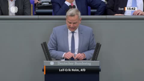 Leif-Erik Holm Rede vom 19.04.2023 - Weiternutzung der Kernkraft