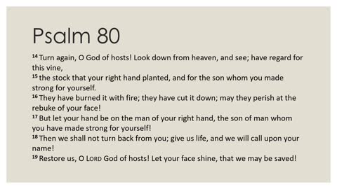 Psalm 80 Daily Devotion