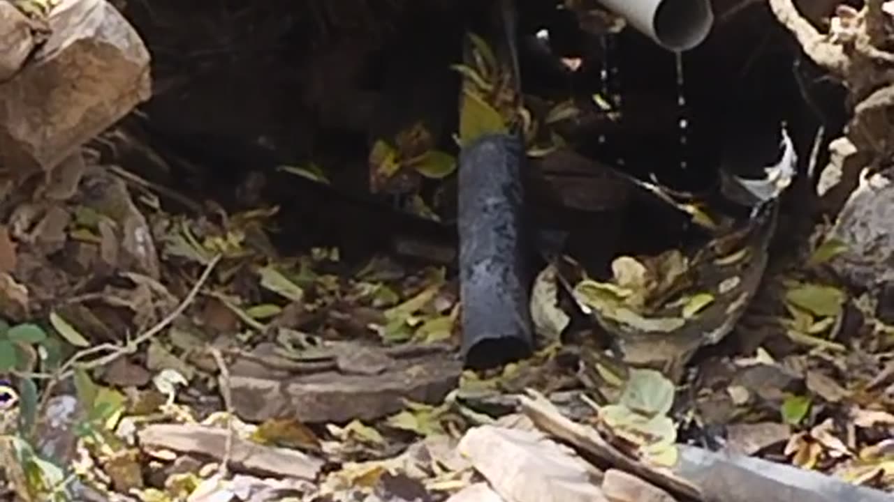 Natural water