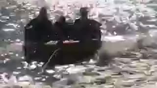Agressive Water Rafting