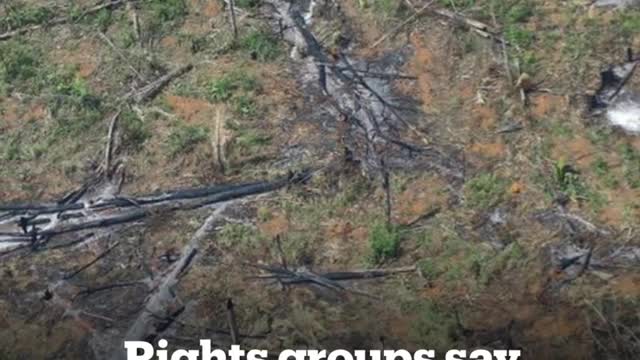 Protected Amazon forest land invaded and destroyed in Brazil