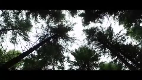 Gift of Life Inspirational Videos