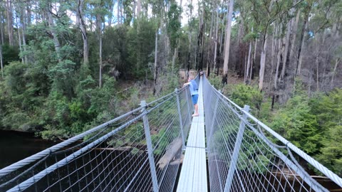 Tahune Airwalk Tasmania