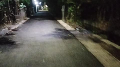 night walk