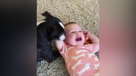 Funniest Baby Video