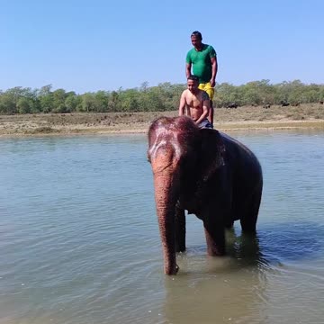 Very nice man bathing on elephant