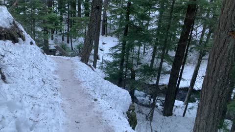 Steep Trail Section with River Views – Tamanawas Falls – Mount Hood – Oregon – 4K