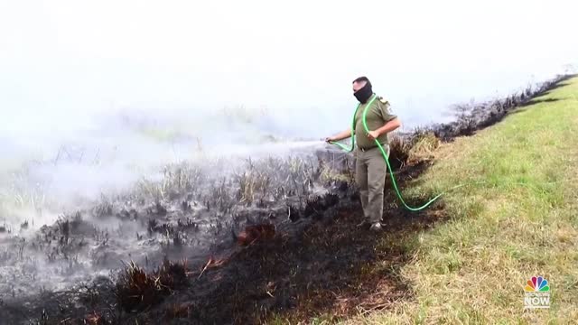 Raging Wildfire Burns 3,000 Square Miles Of Argentina's Northeast- NEWS OF WORLD