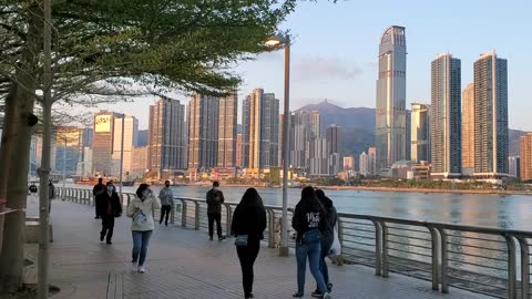 Containers ship cruse down in Hongkong harbor