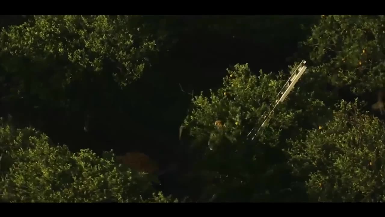 Spike? Snake!