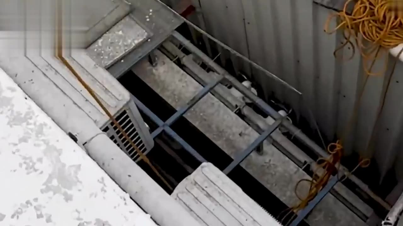 🐱 Cat Stuck Between Grates of a 20-Story Building 🏢😱