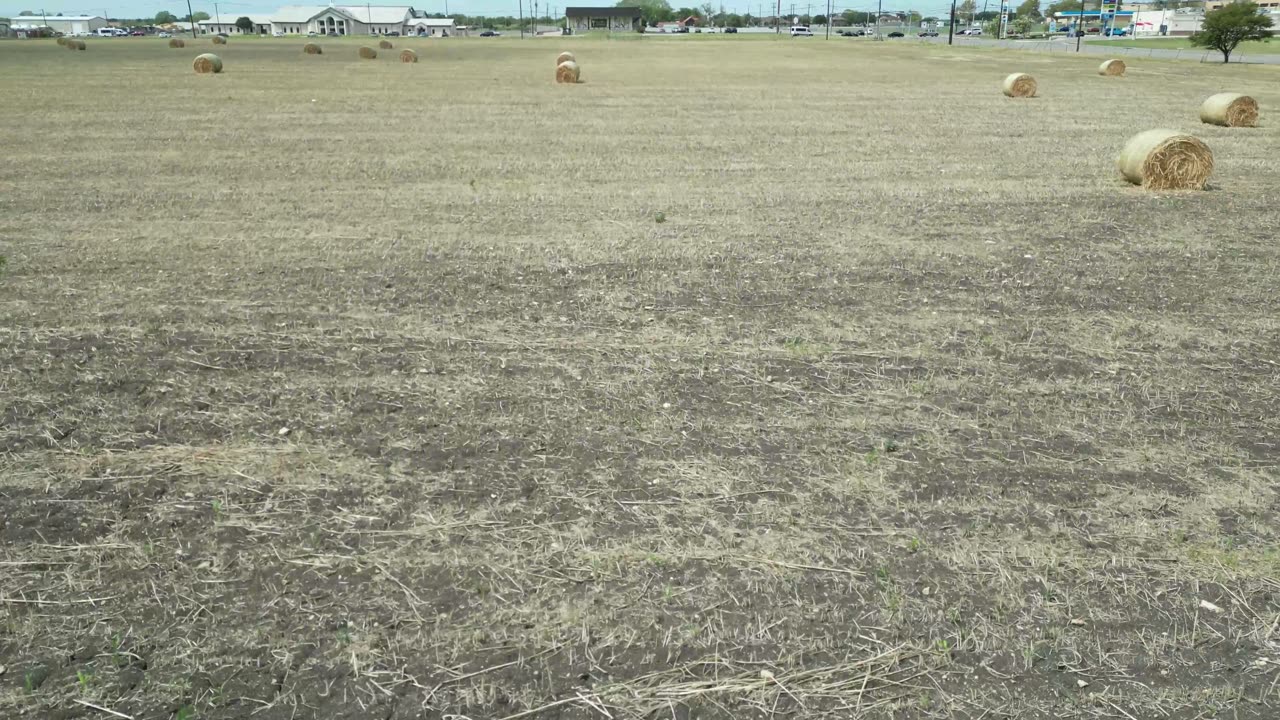 Bales of Hay